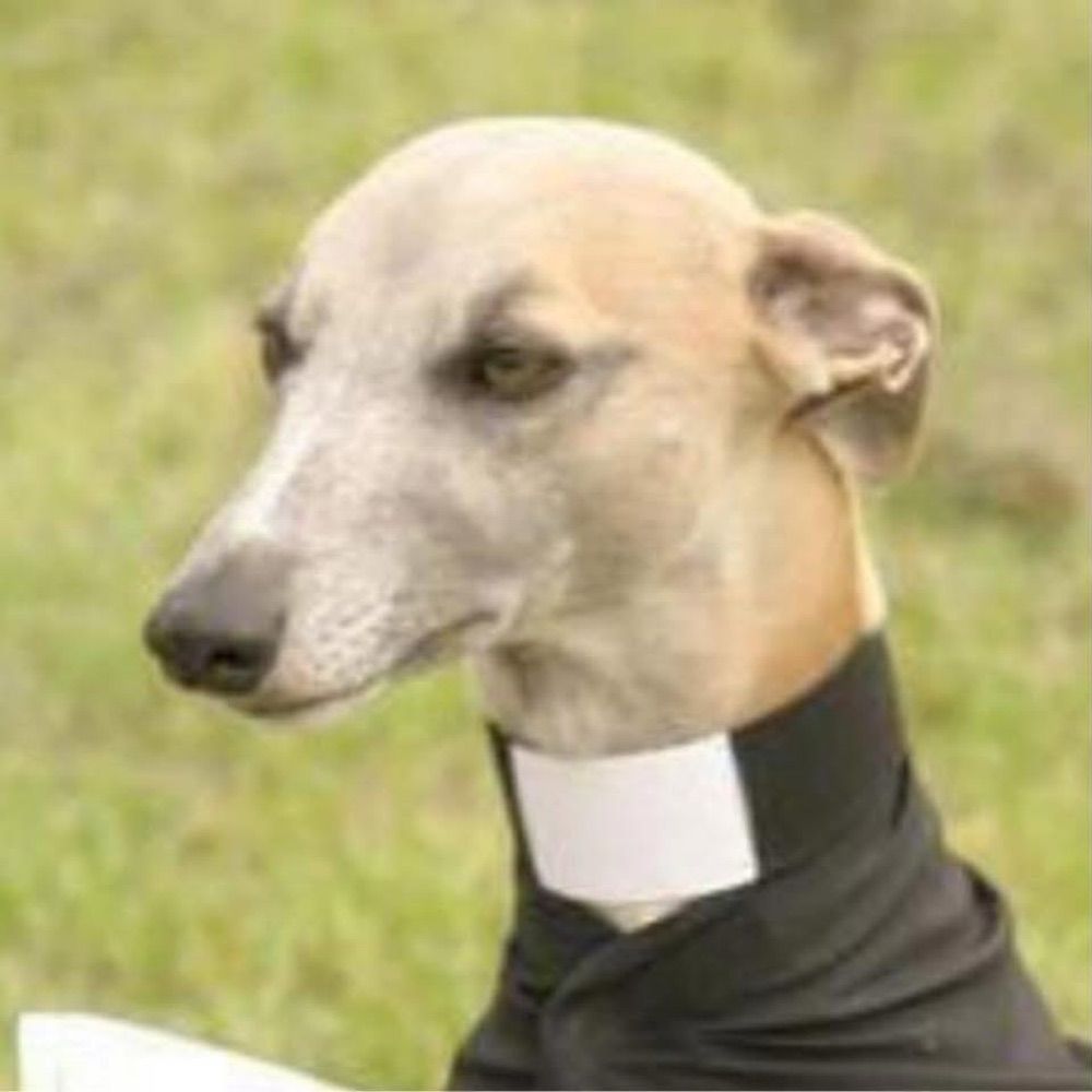 Deacon Clay