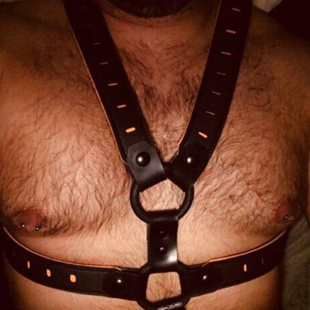 Fisted-Pig🔒