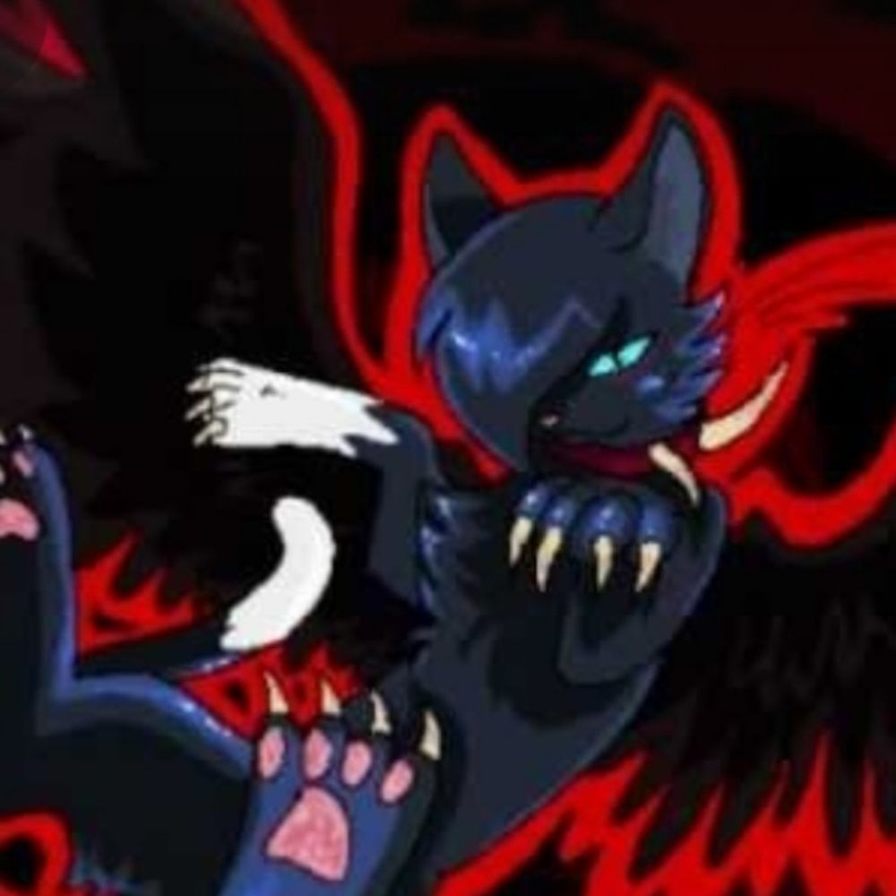 >_< ?! (what/eva)