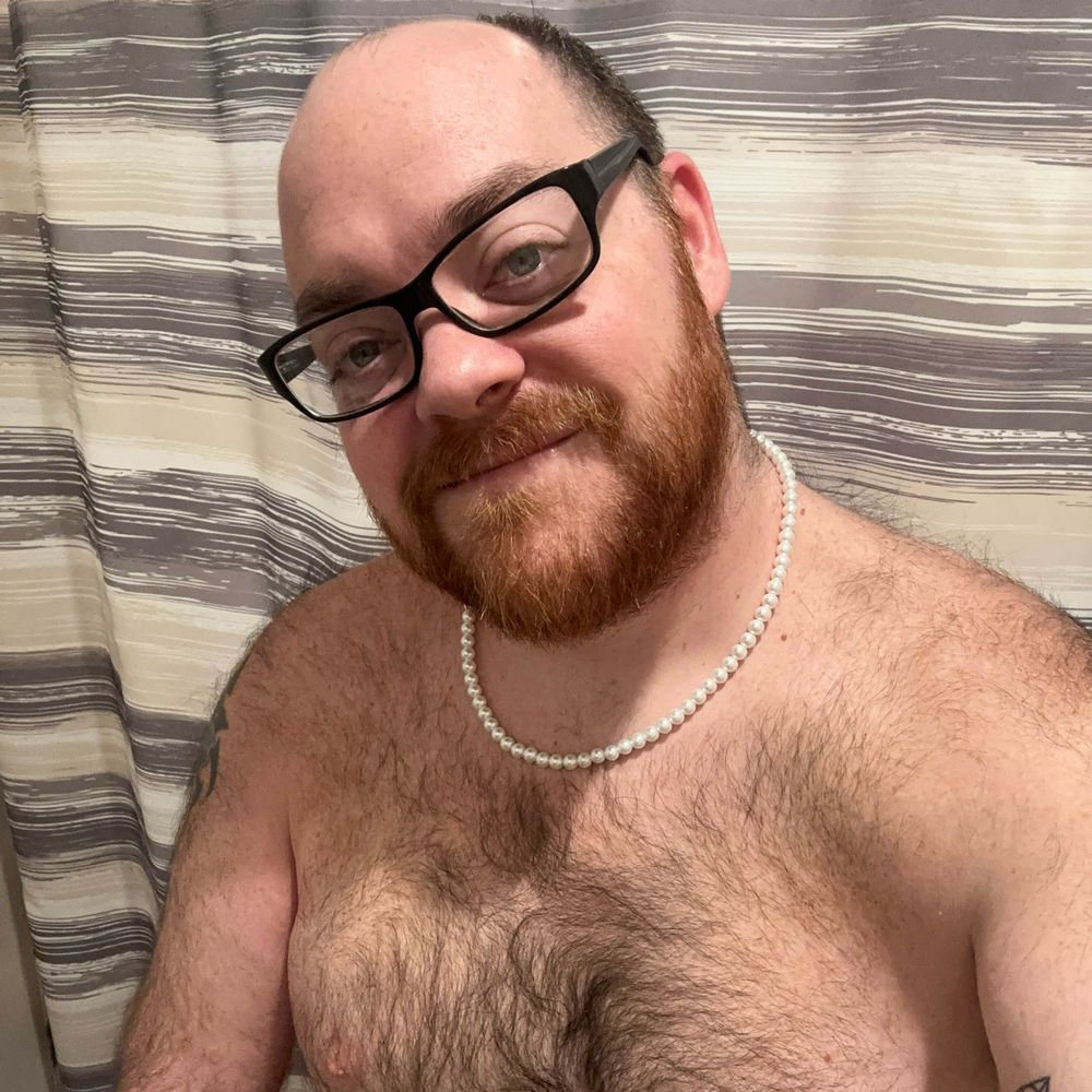 BearyPotter 