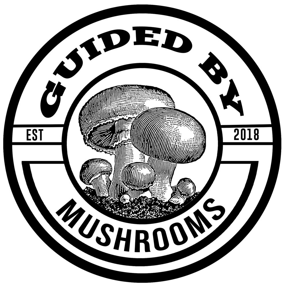 Guided By Mushrooms