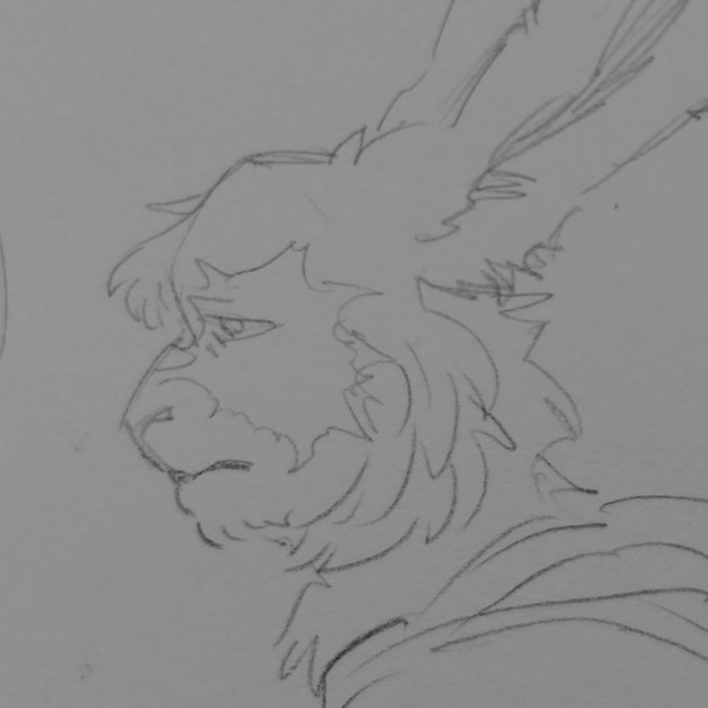 🐇 LEON 🐇