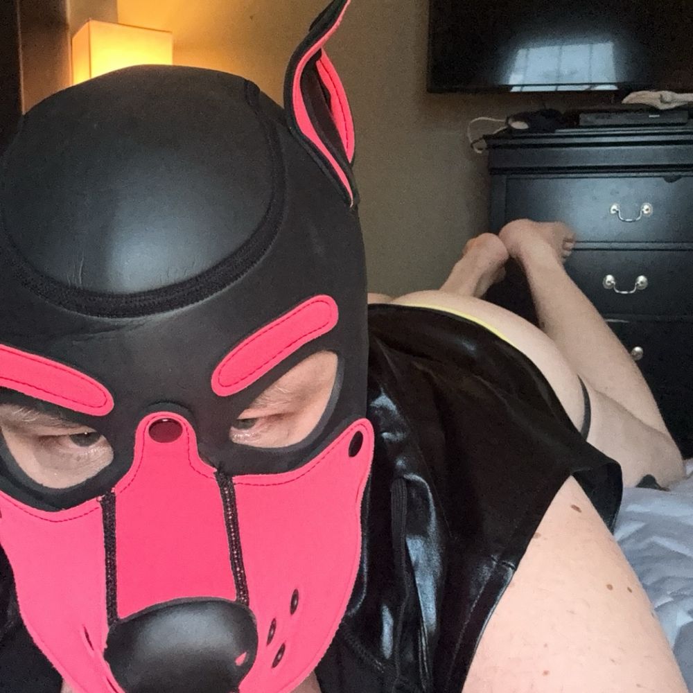 Chastity Pup