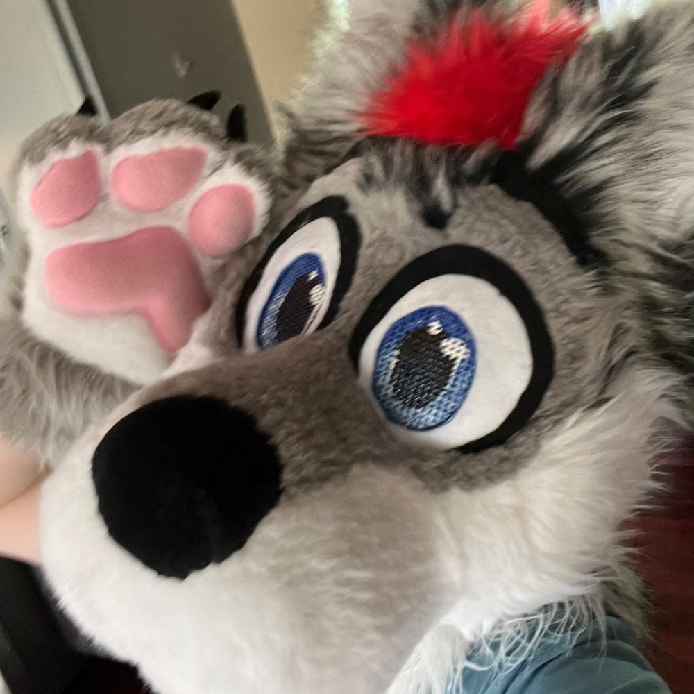 RaiderWolf
