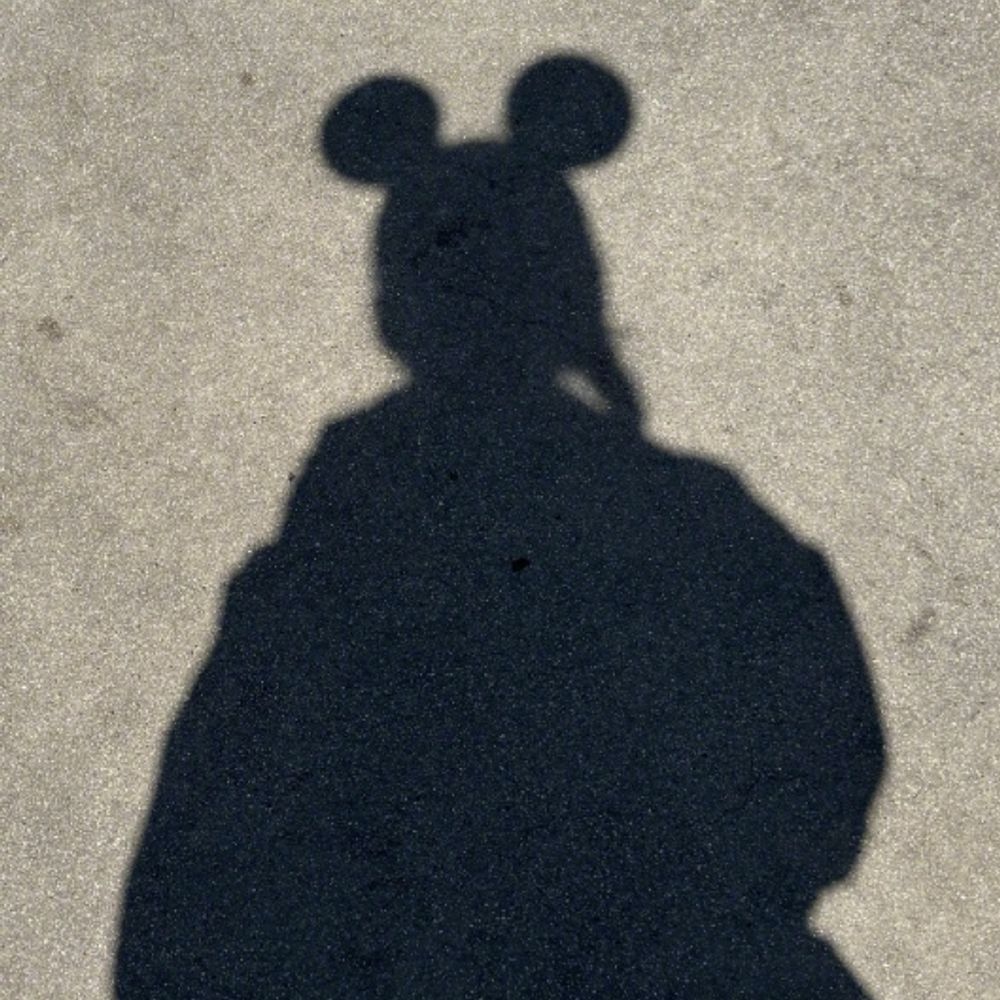 maddisynmarcellus.bsky.social profile picture