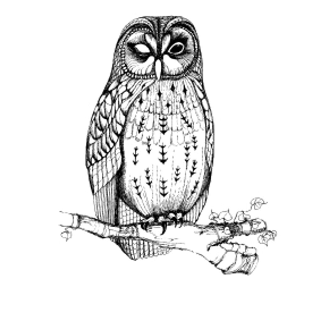 Sorby Natural History Society