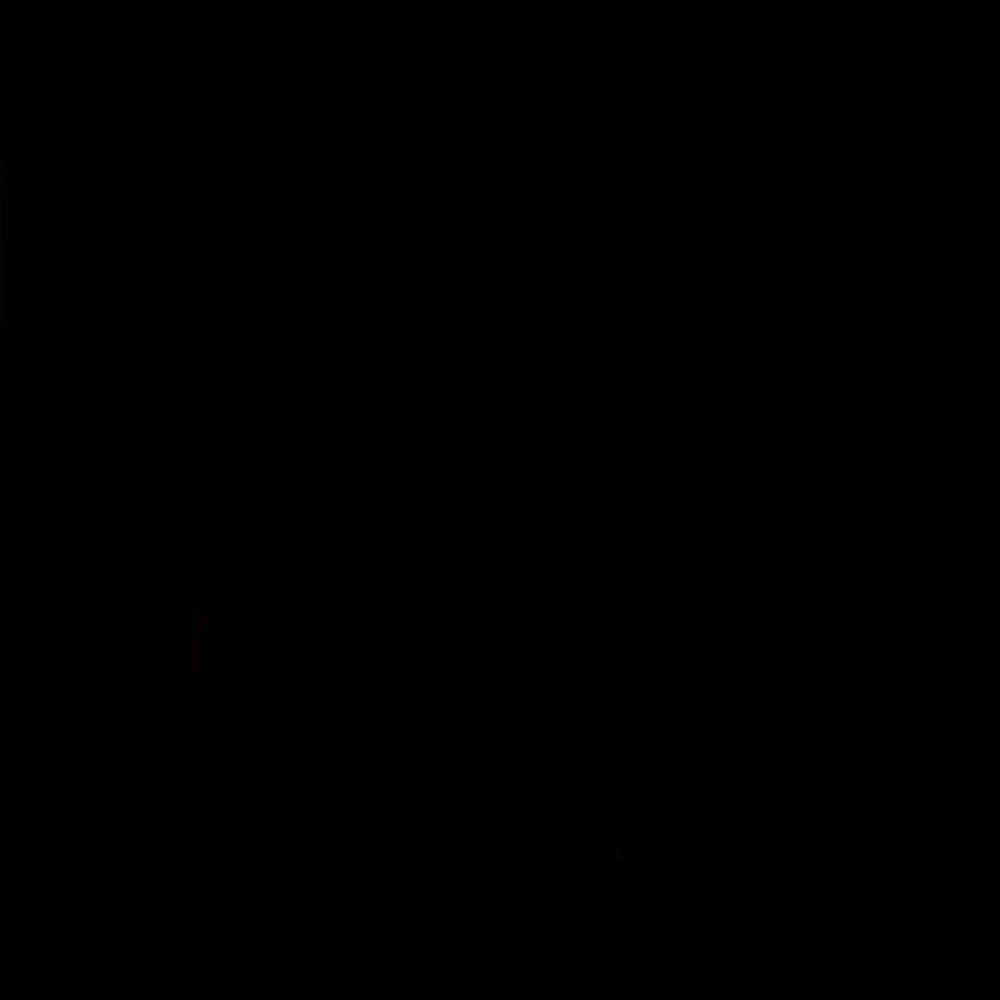A.V
