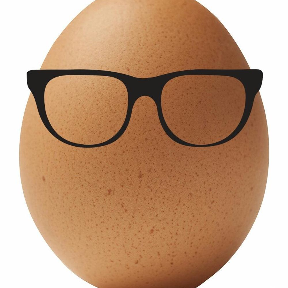The Egg Watcher