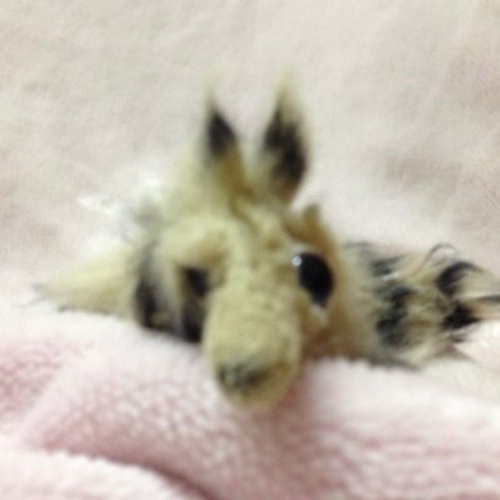 そらさわ