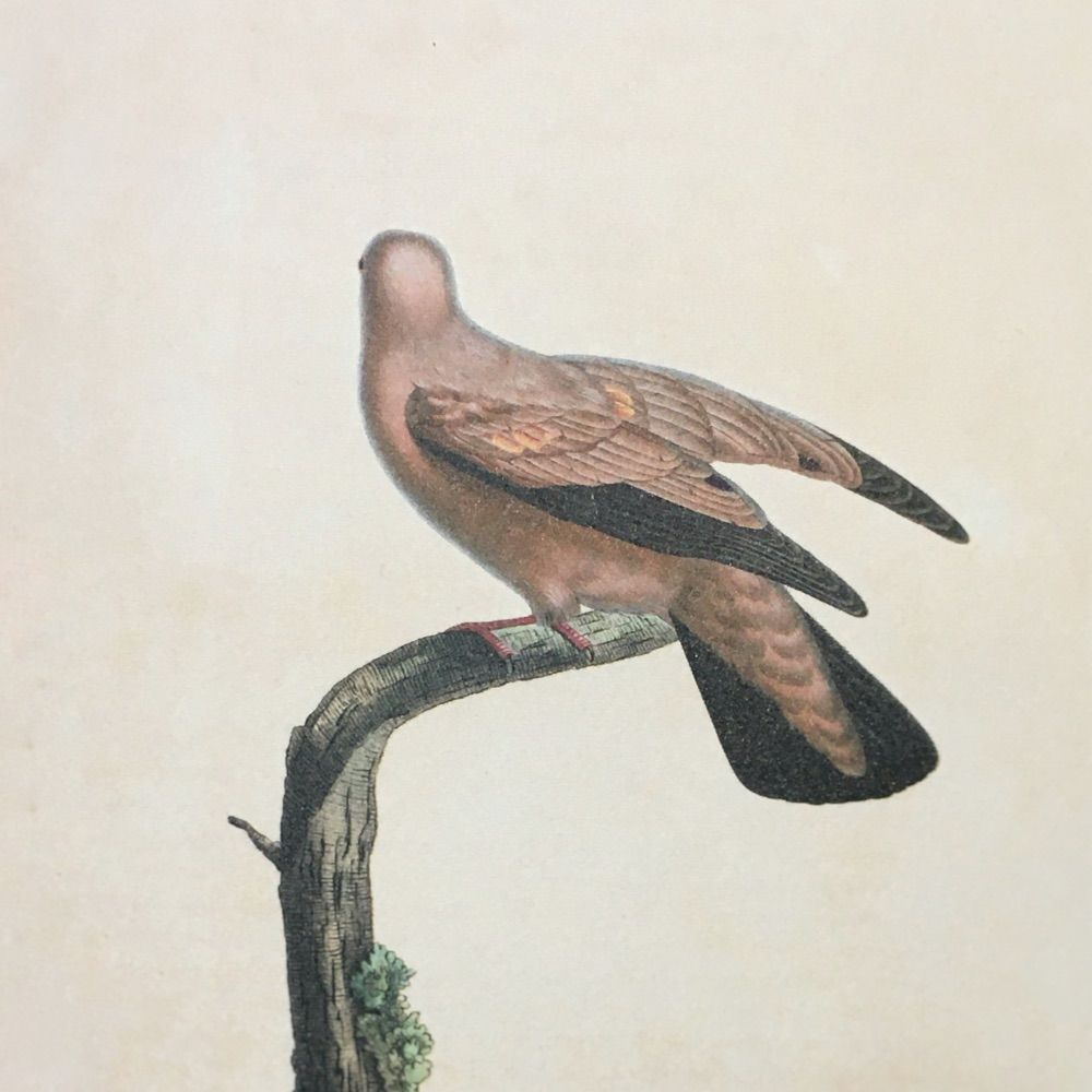 㠀