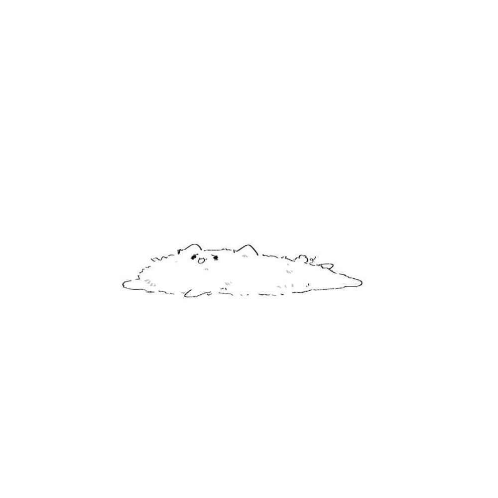 Zercus_ZC