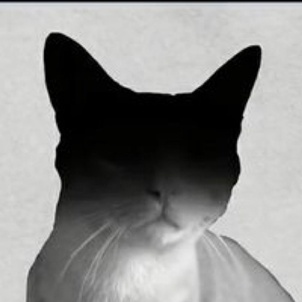 squircle