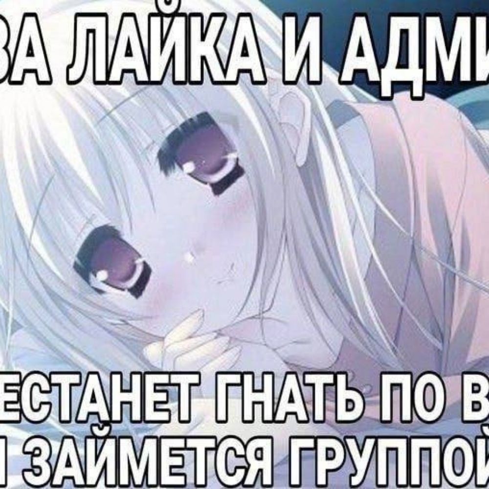 Meow