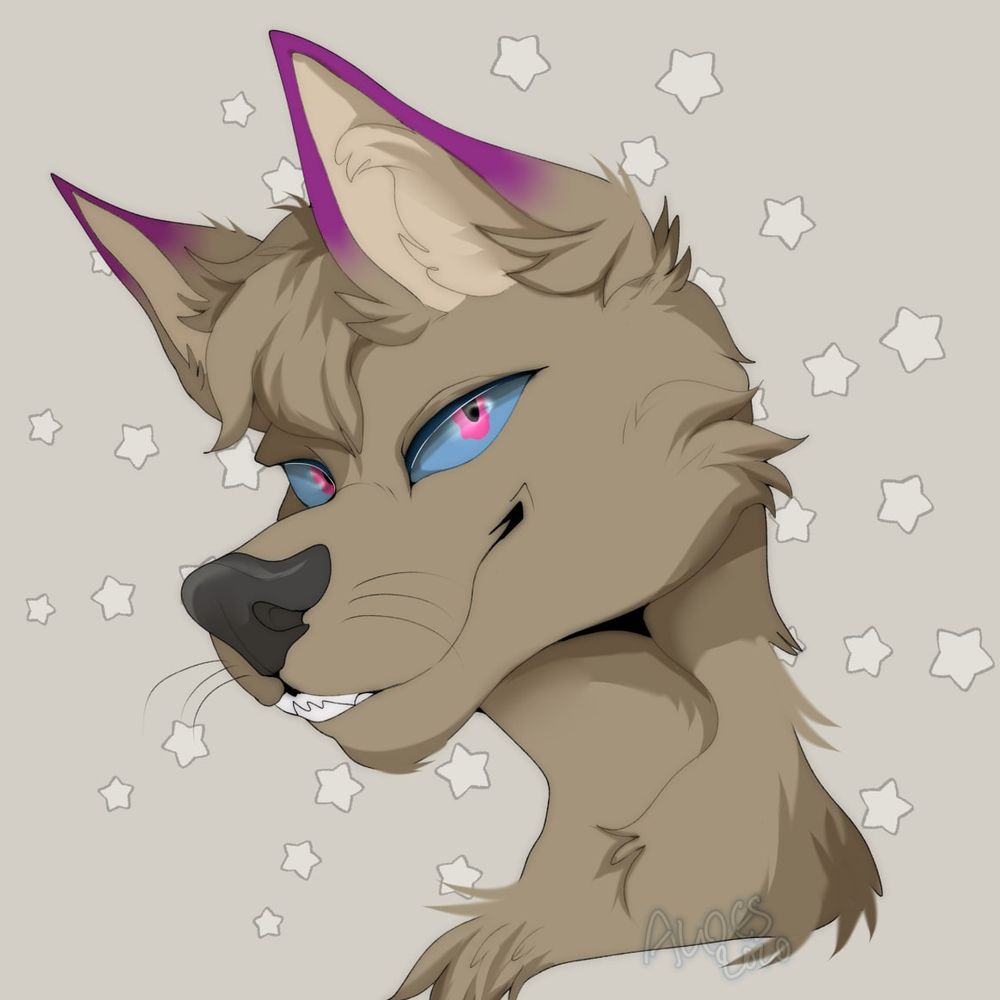 prodigyxspectre.bsky.social profile picture