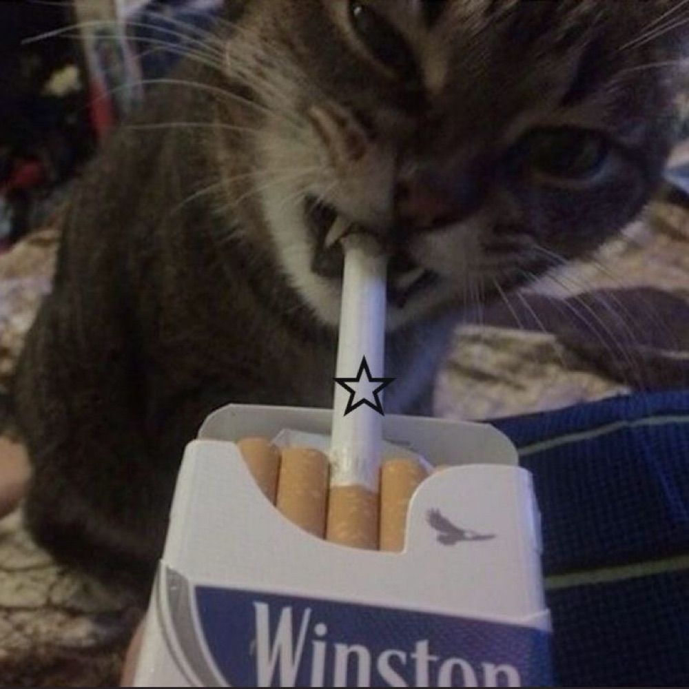 𝙻𝚞𝚊 ✮