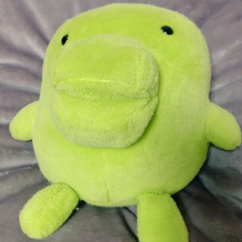 かはく