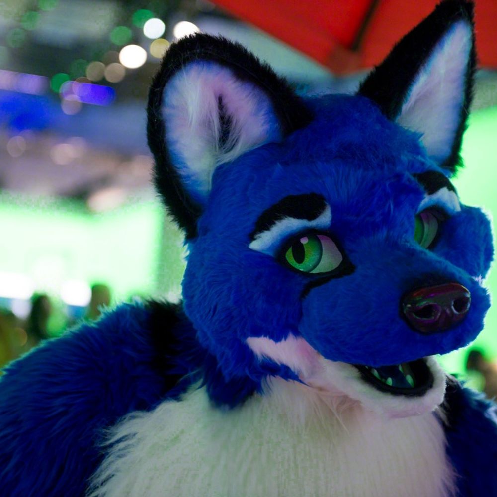 FayroeFox 