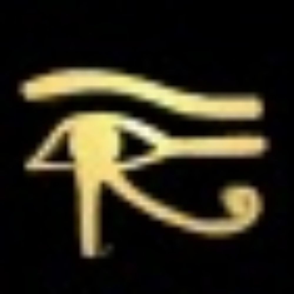 Eyeofraphoto