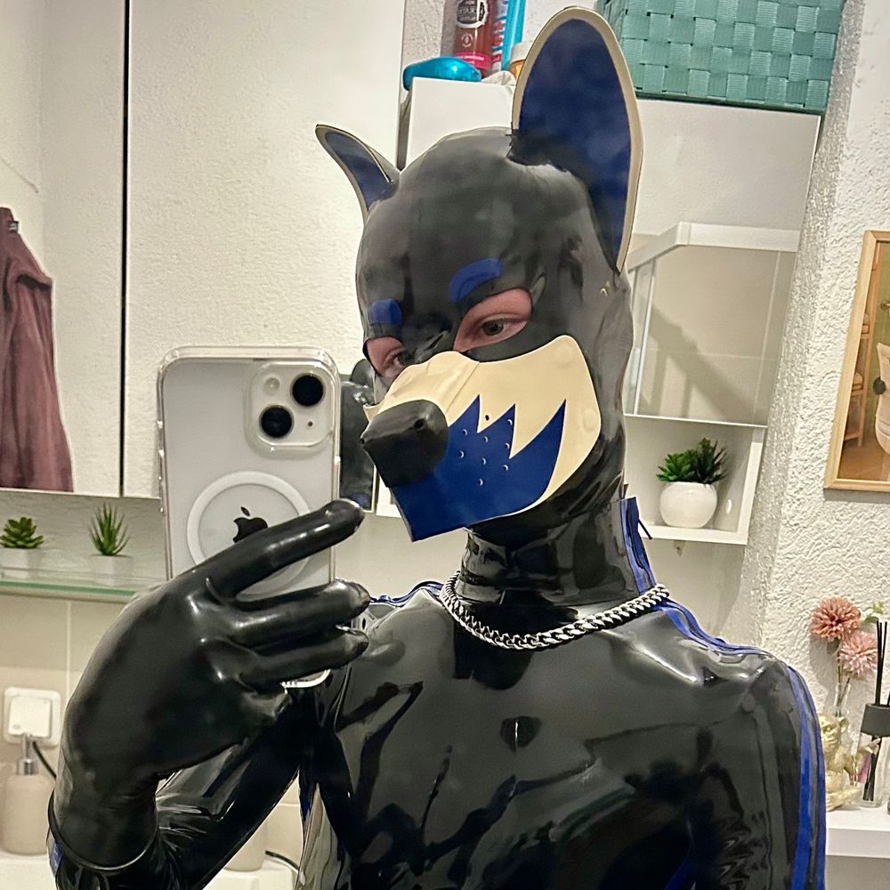 Dash🐶