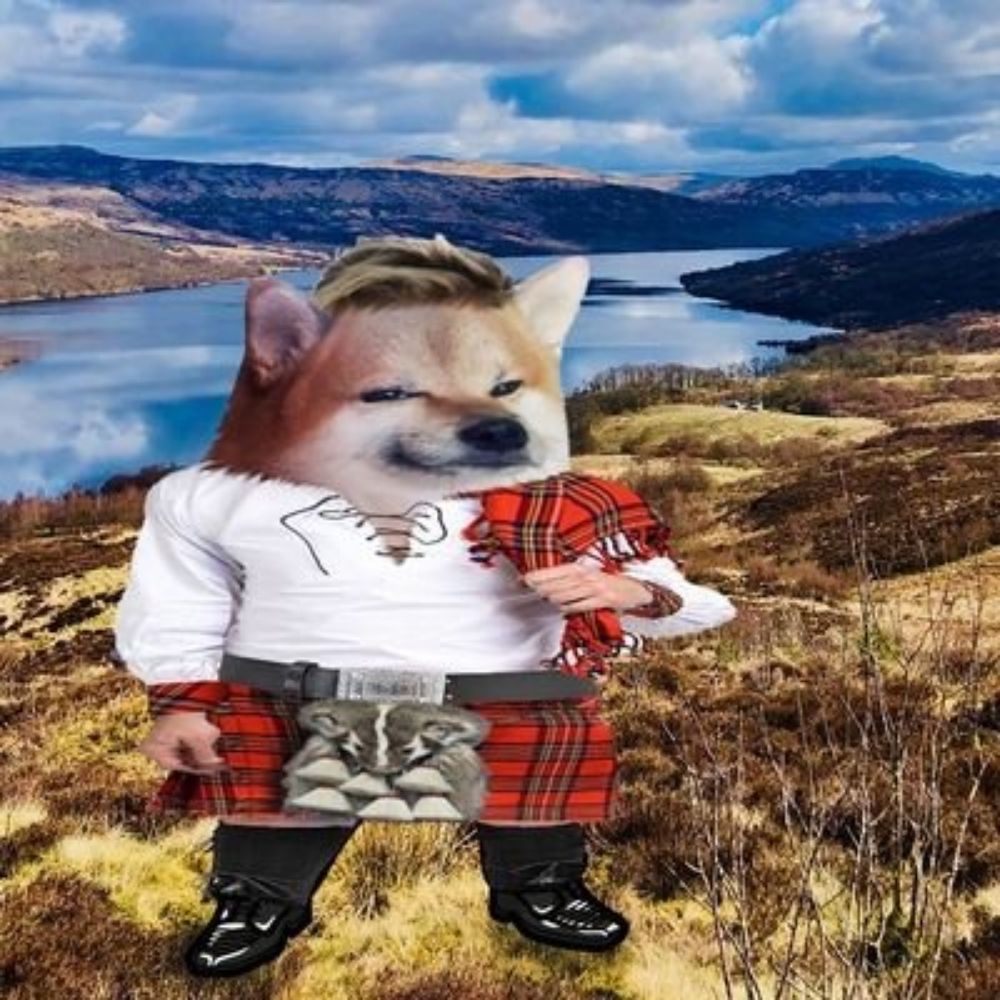 🔥 🏴󠁧󠁢󠁳󠁣󠁴󠁿 Puffy Flumpkin Fella 🏴󠁧󠁢󠁳󠁣󠁴󠁿 🔥