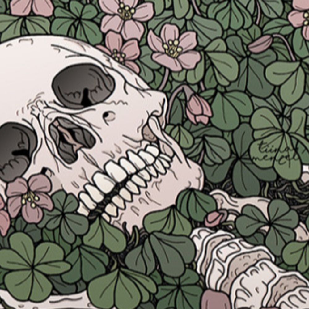 skeleton