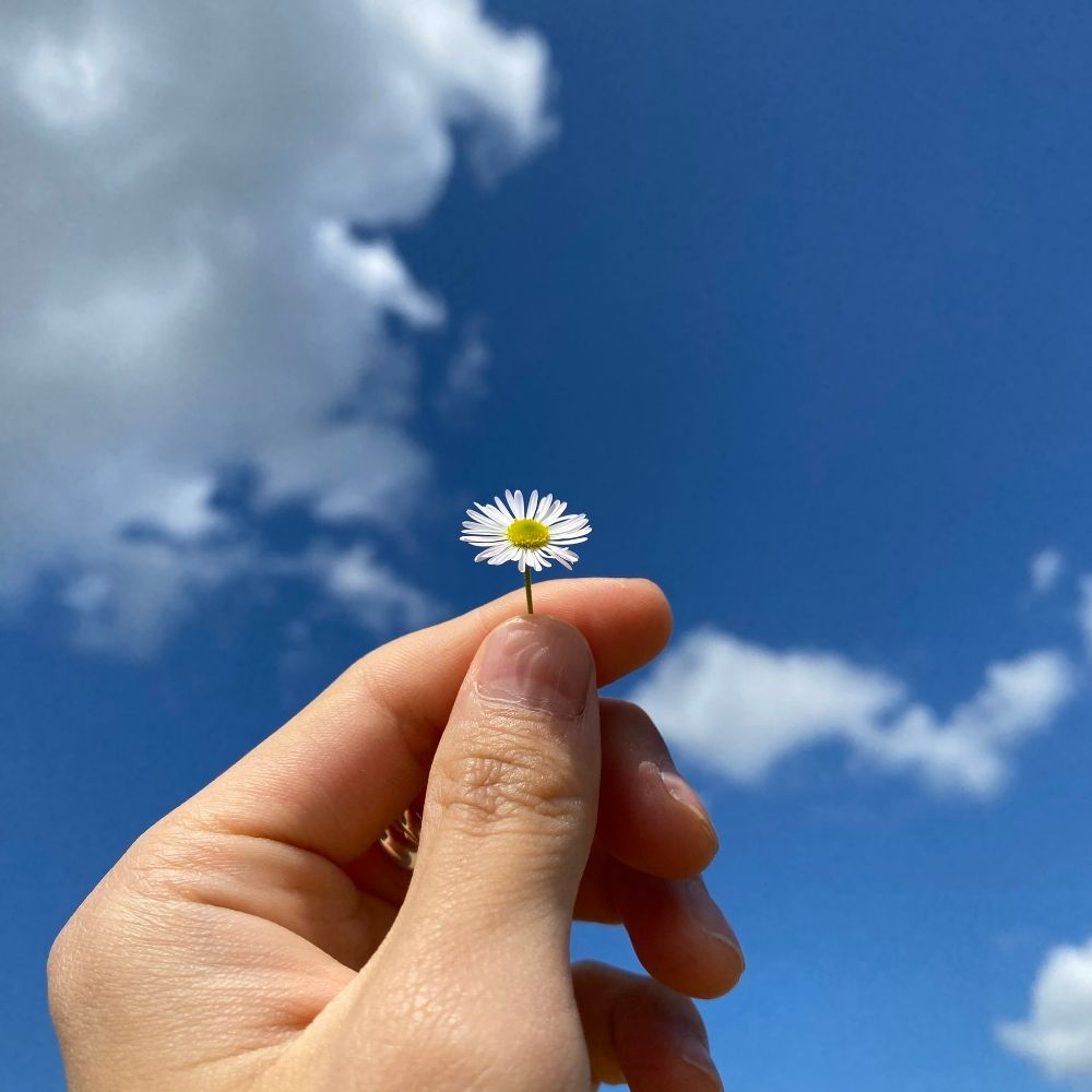 clara ☀️