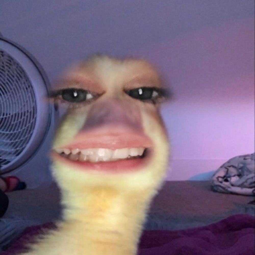 clarinha 