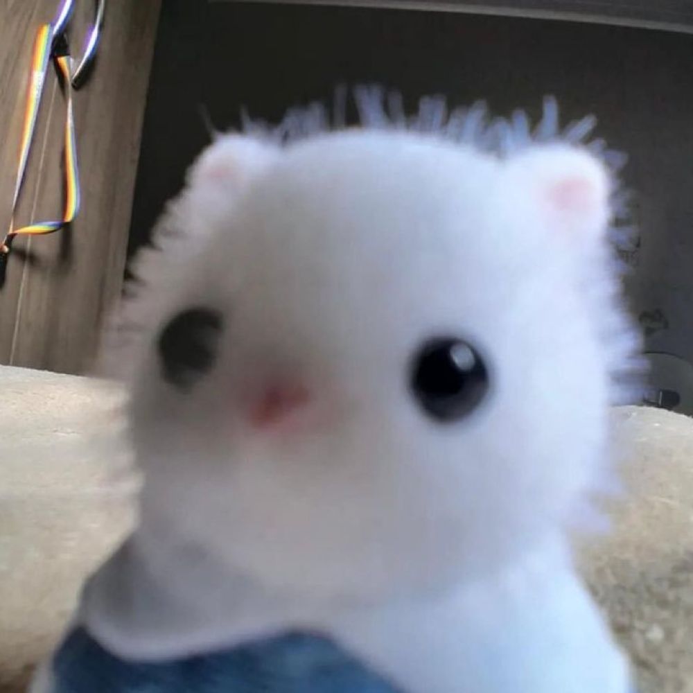 한조