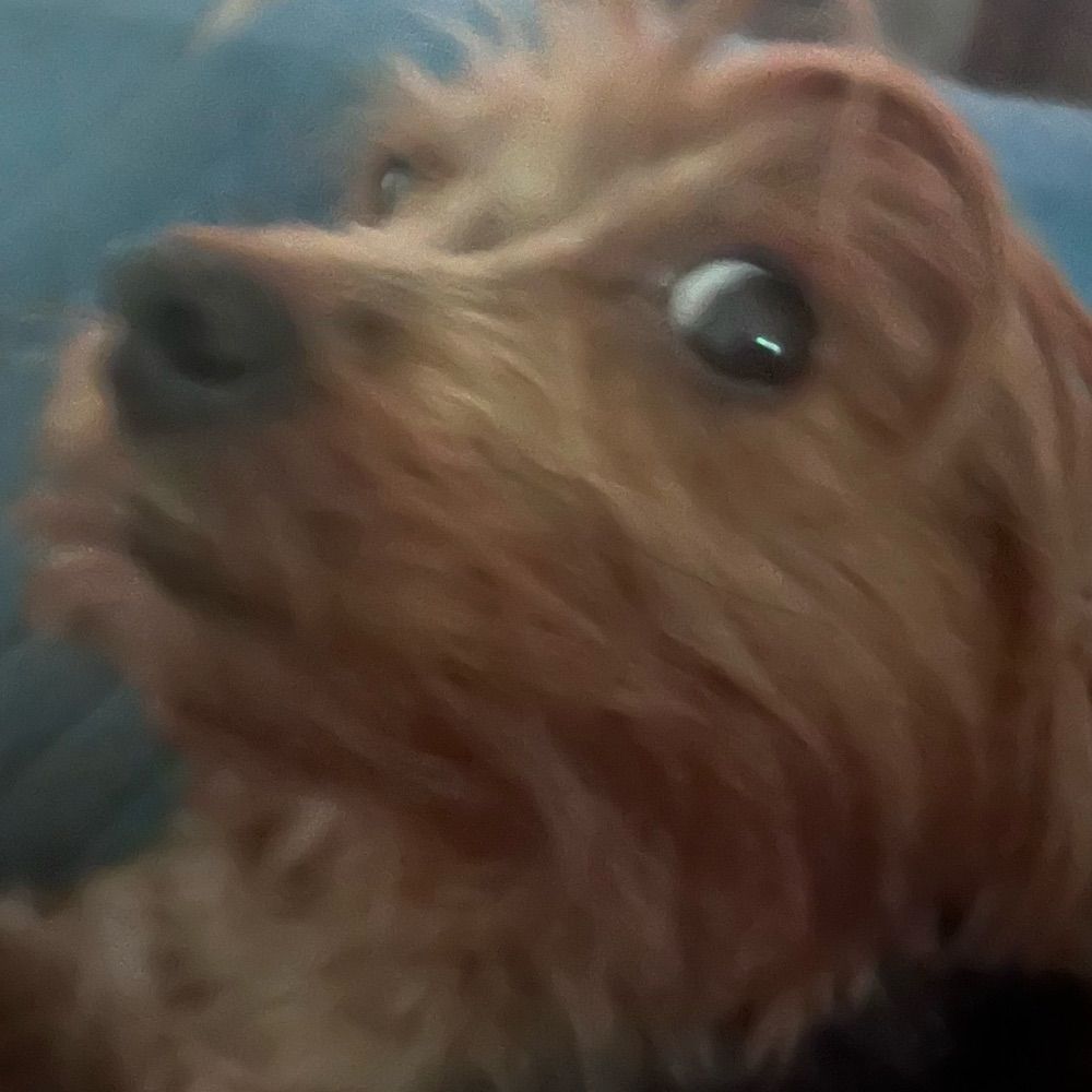 bosta