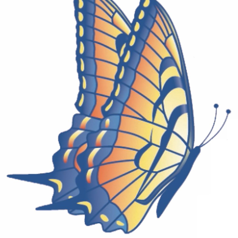 Transition Fidalgo