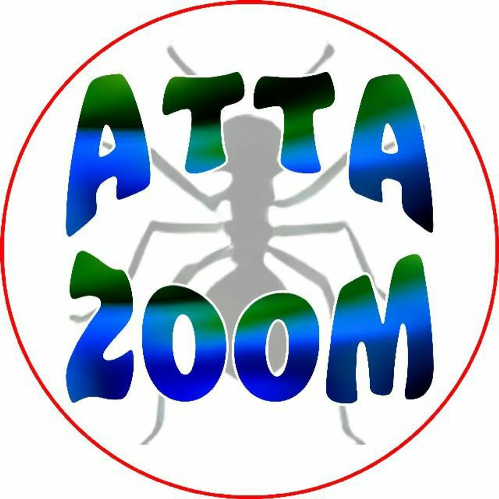 Attazoom