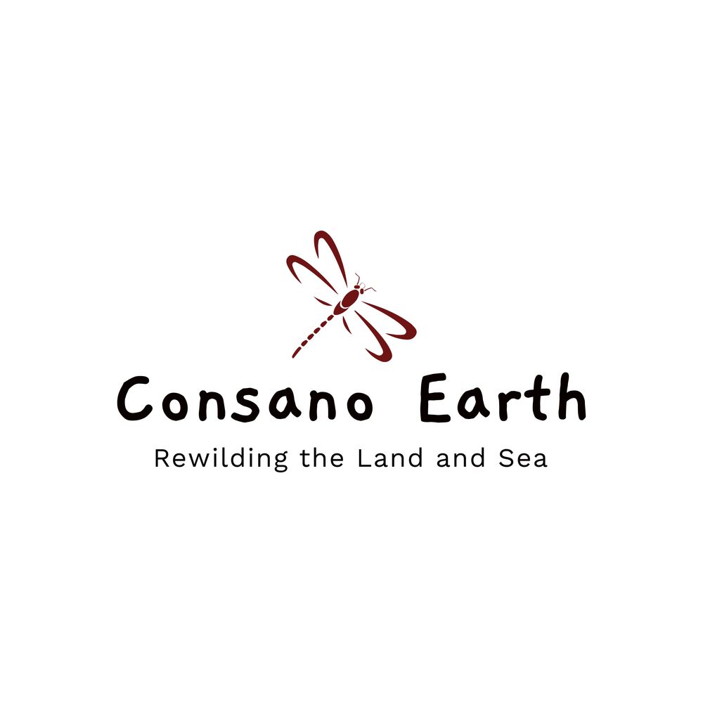 Consano Earth