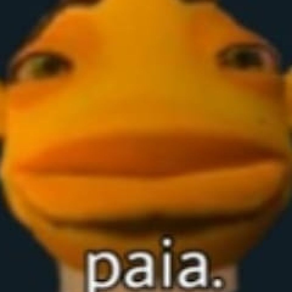 bot paia