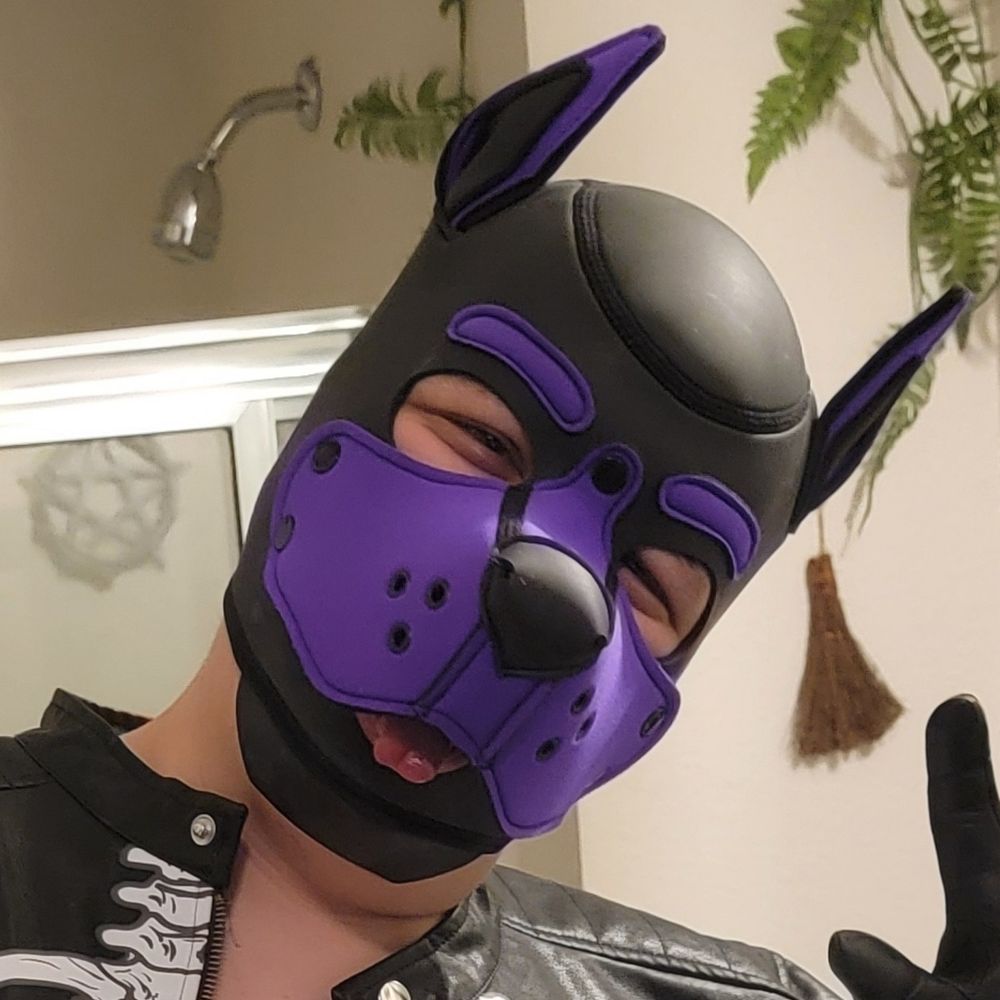 SWIFTPUP3619.bsky.social