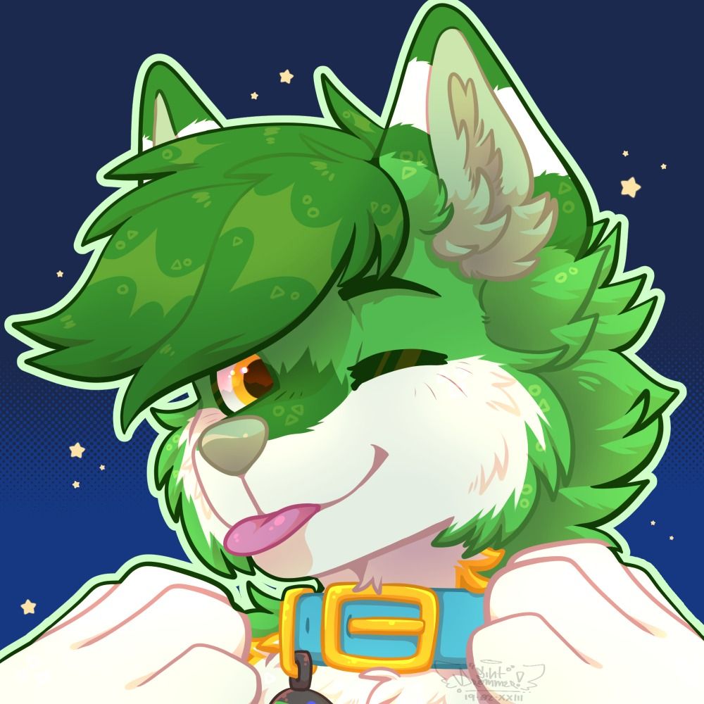 JezHusky