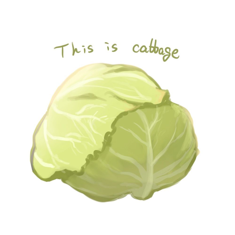 きゃべつ