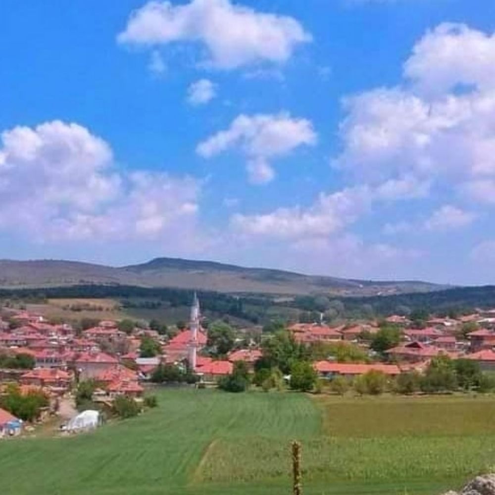 Ahmet Meral