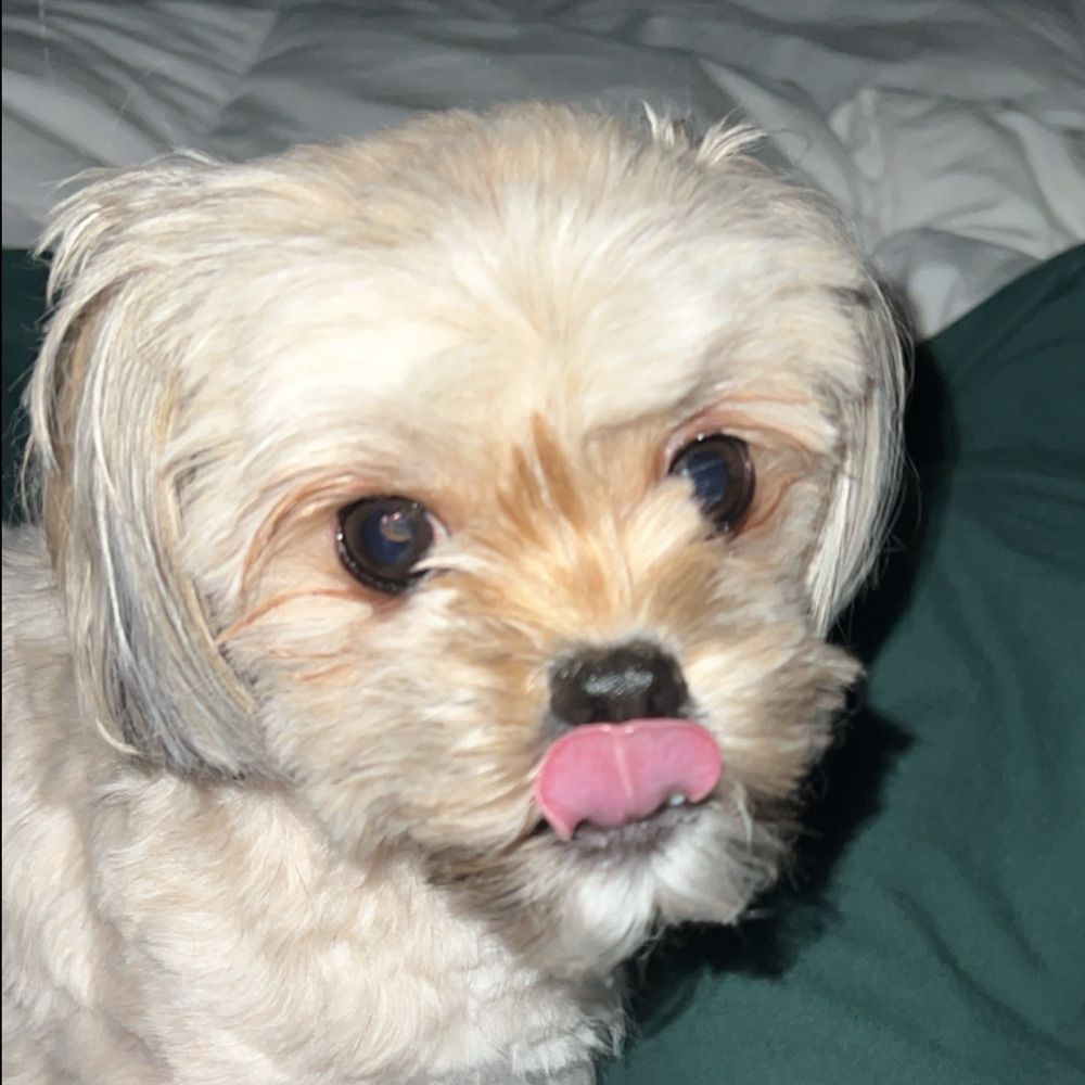 PBAG
