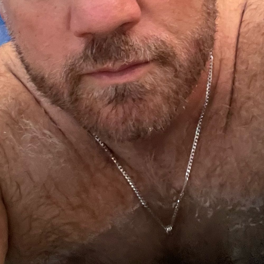 Cubinabearsbody