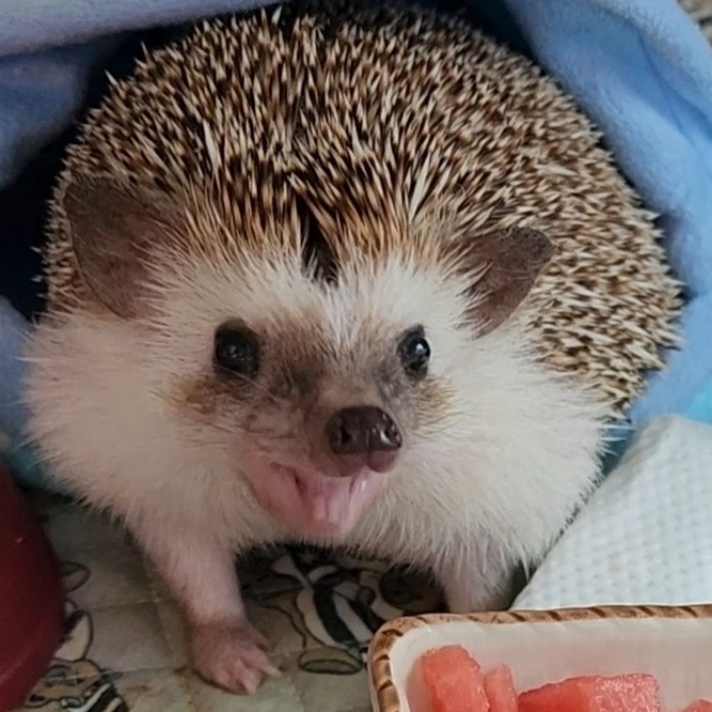 송송