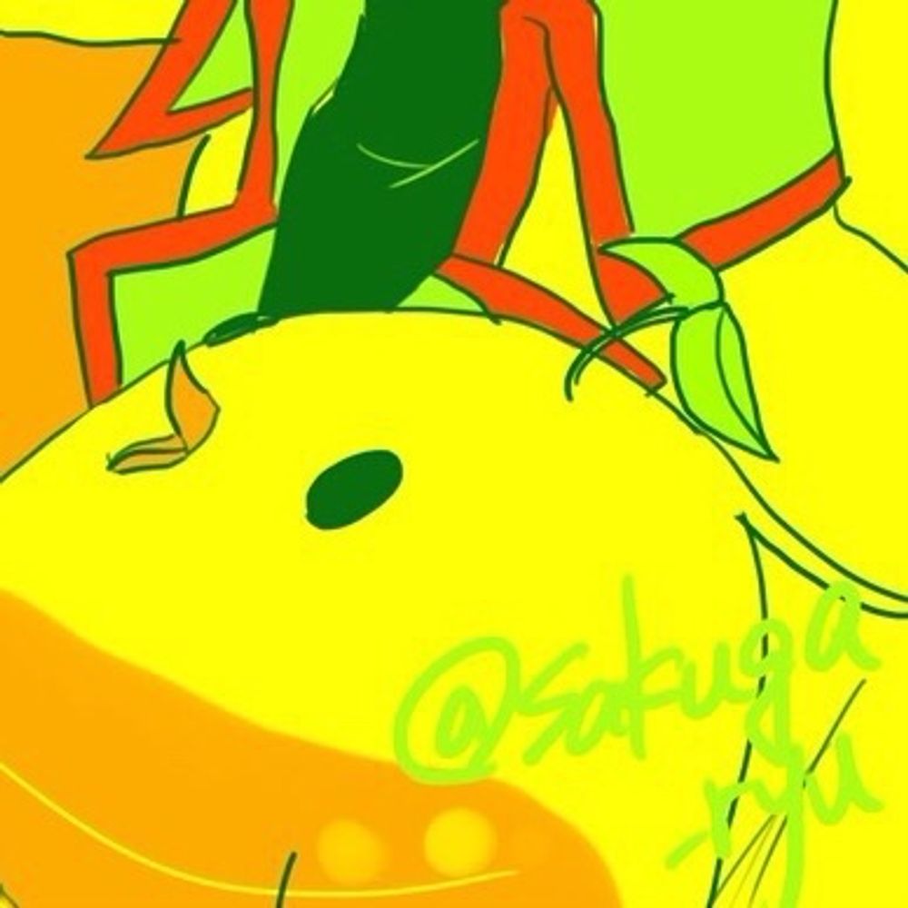 朔芽