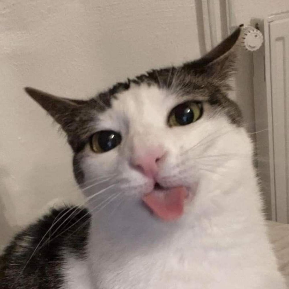 bru