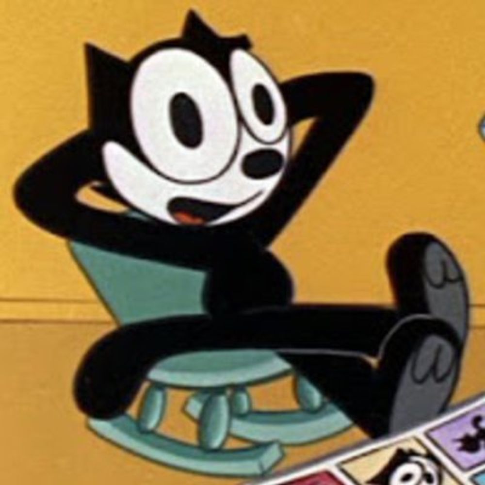 Vailskibum