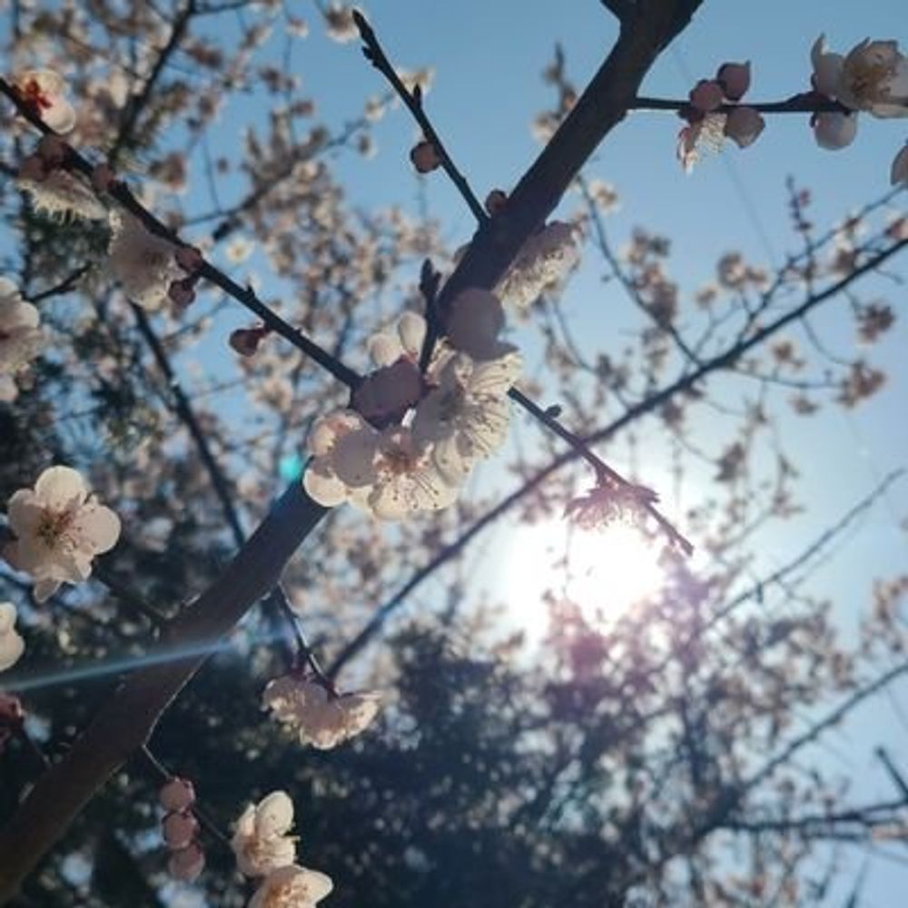 별