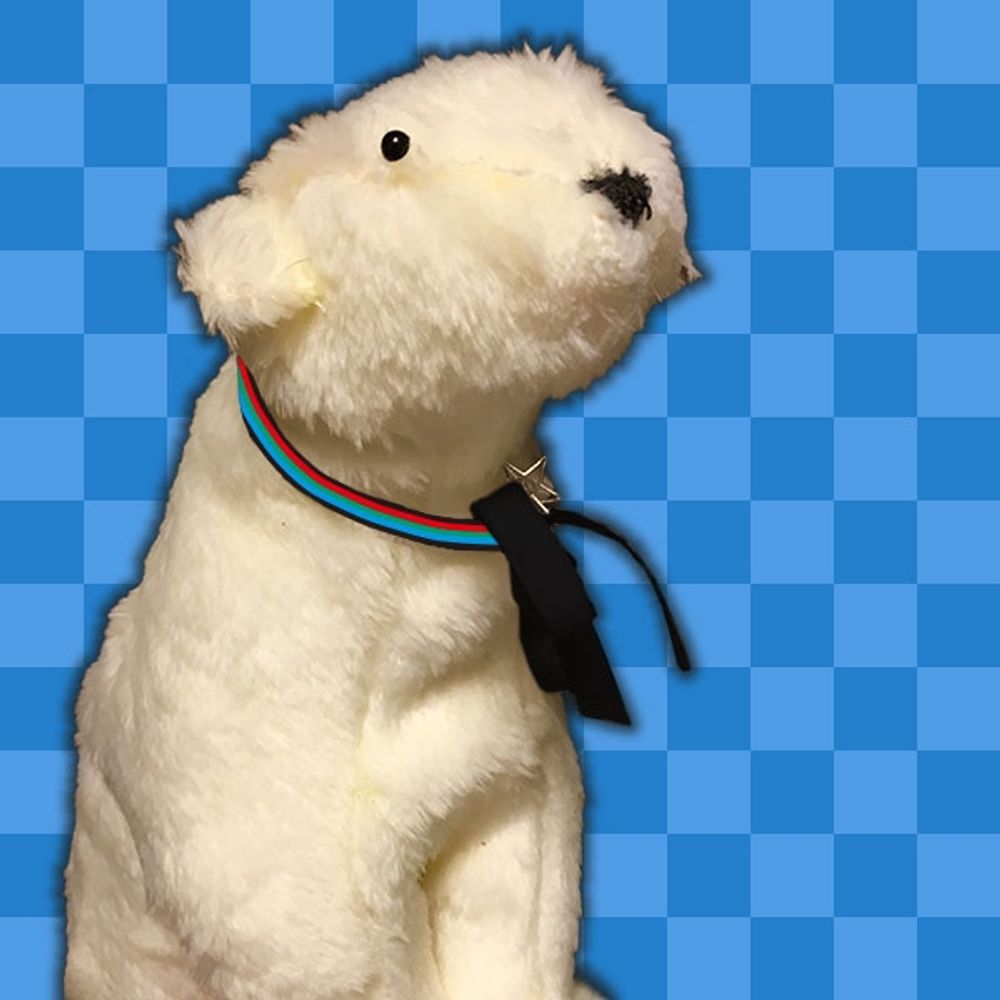 このじゅ