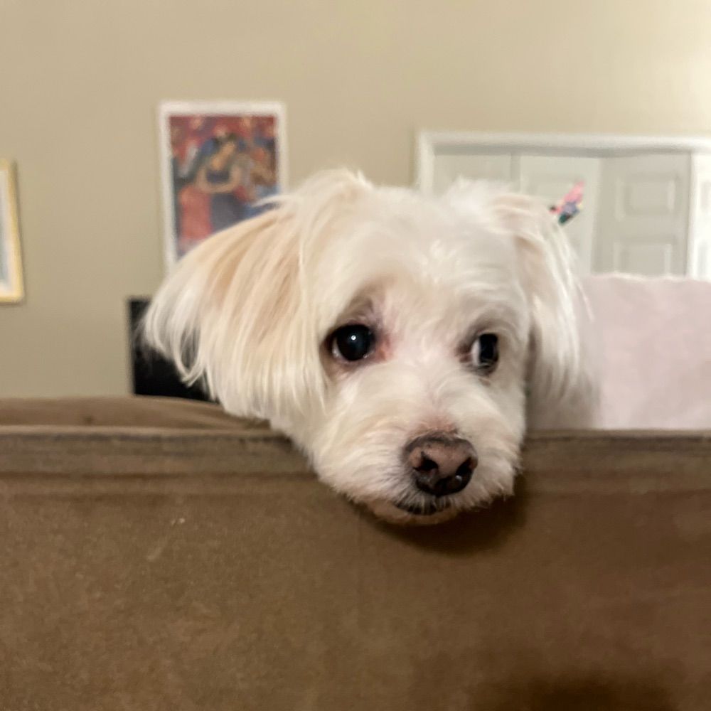 MeggyRhea