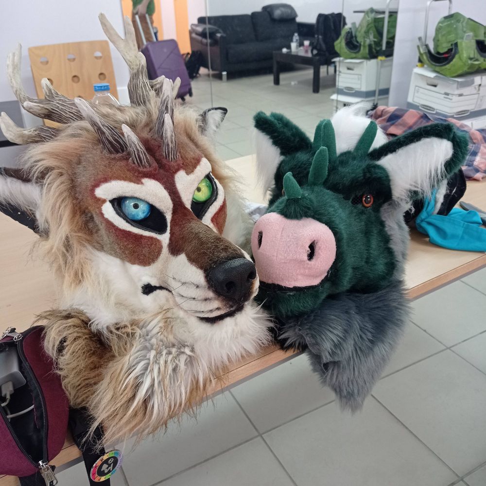 dayFOx_art