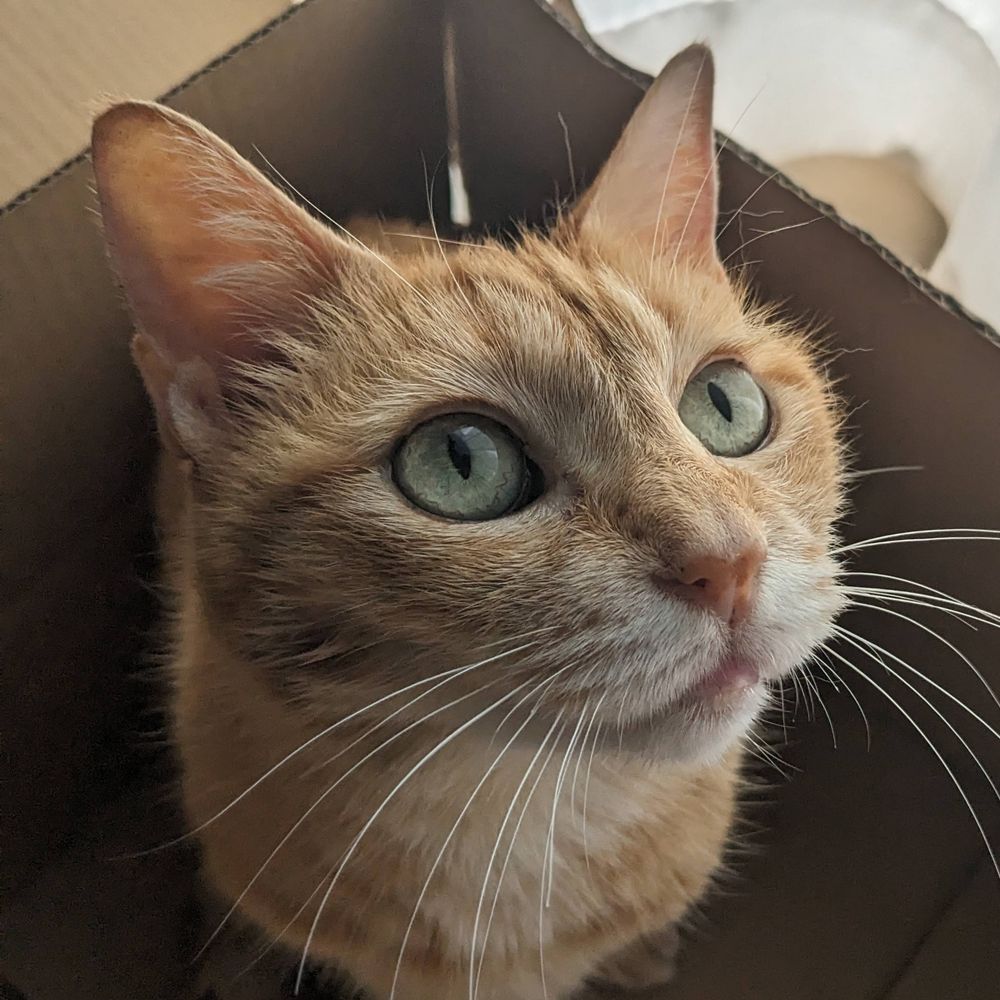 圏外