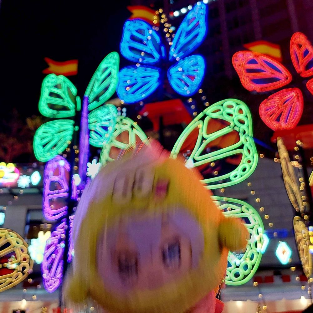 🦋小玫瑰🌹