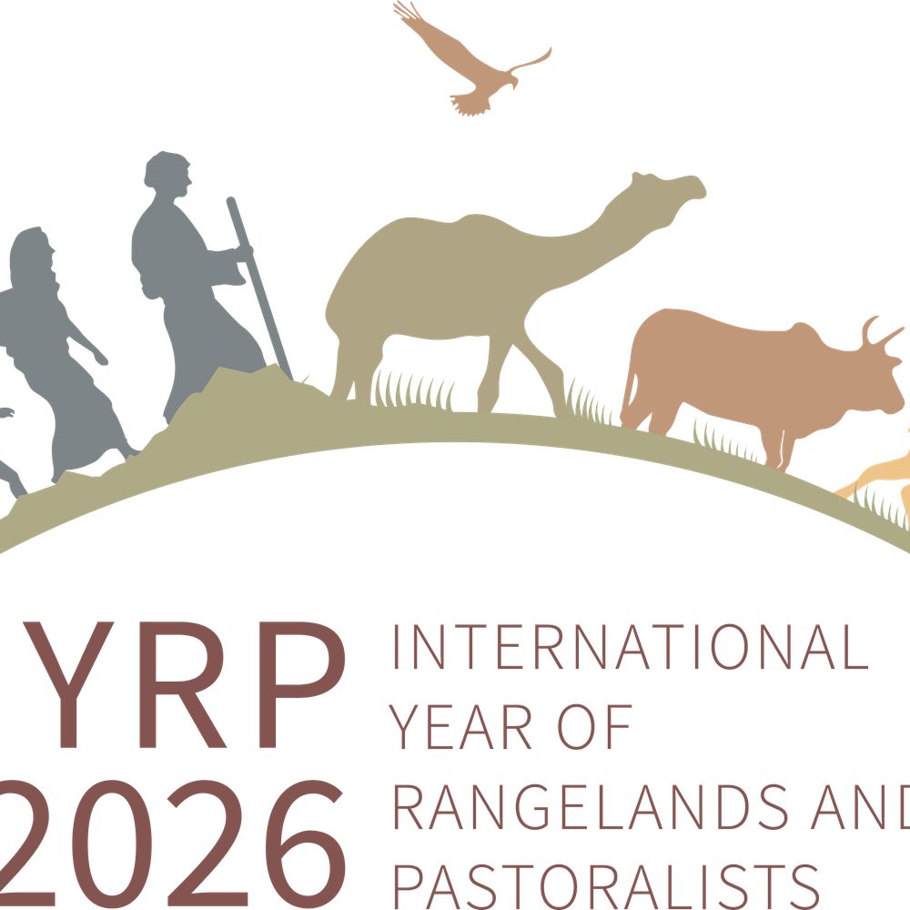 IYRP2026 Alliance